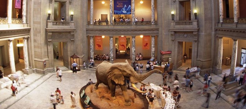 National Museum of Natural History