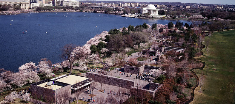 Where can you see the cherry blossoms?