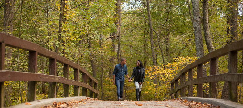 Hike Trails President Theodore Roosevelt Once Walked