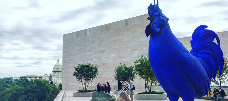 A Rooster Out of the Blue