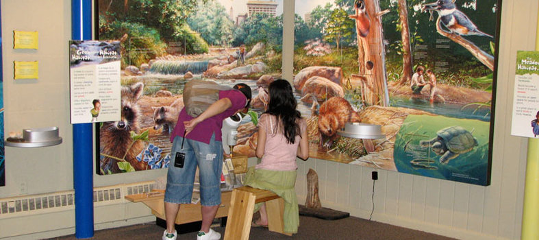 Have a field day in Rock Creek Park