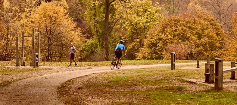 Stroll the trails with a Park Ranger