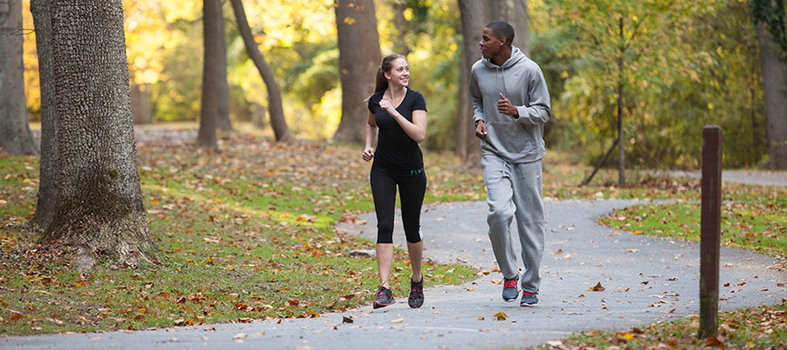 Enjoy the park's trails