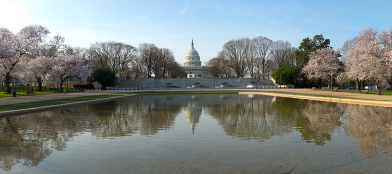 Walk through Capitol Hill