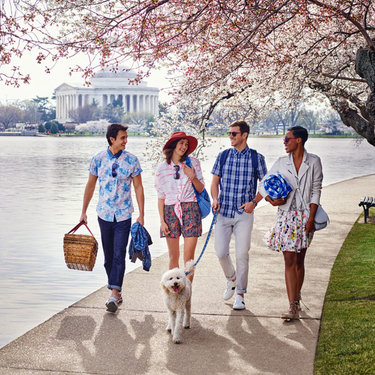Friends walking along Tidal Basin & cherry blossoms - Spring in Washington, DC Friends walking along Tidal Basin & cherry blossoms - Spring in Washington, DC